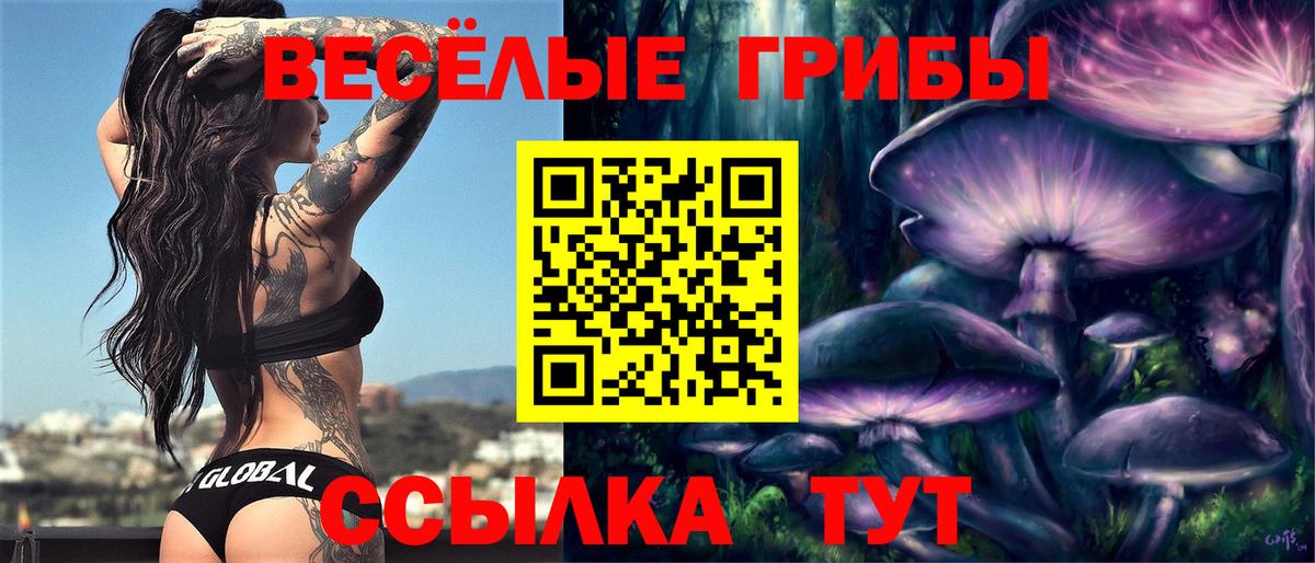 Галлюциногенные грибы Cubensis Белово