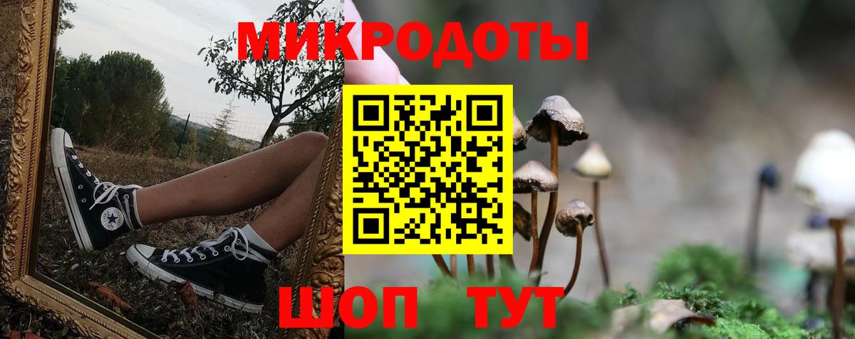 Галлюциногенные грибы Magic Shrooms  Вход с VPN  купить  цена  Белово 